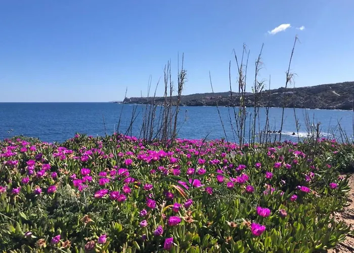 Cristal Blu In Santa Teresa Gallura