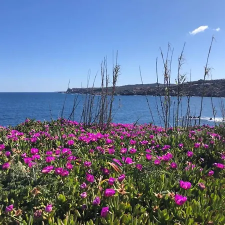 Cristal Blu In Santa Teresa Gallura